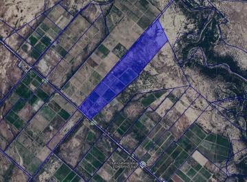 Campo · 64ha · Finca en Media Agua. Avellaneda y Garibaldi.