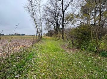 Campo · 289ha · Se Venden 2 Ha con Casa y Galpon Recreo Sur