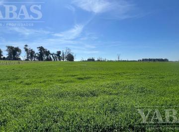 Campo · Venta de Campo – 196 Hectáreas – Partido de Baradero, Ruta Nacional y Autopista N.º 9