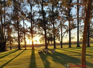 Campo · 120000ha · 2 Ambientes · Venta "Campo Bien Arbolado de 12,7 Ha en Ruta 47 Km 5 a Navarro, Luján con Casa Refaccionada, Energ