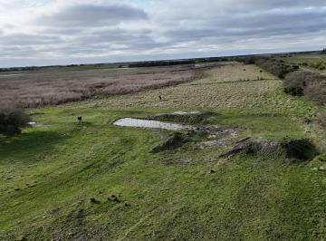 Quinta vacacional · 40000ha · Chacra de 4 Hectáreas en Venta.