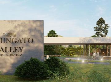 Terreno · 1000m² · Lote en Venta en Barrio Privado "Tupungato Valley"