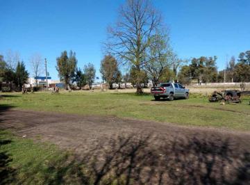 imagen1 · Venta de 4 Ha en Zona Sur de Moron