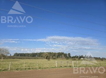 Campo · 16235m² · 1,62 Has Sobre Ruta Nac 14