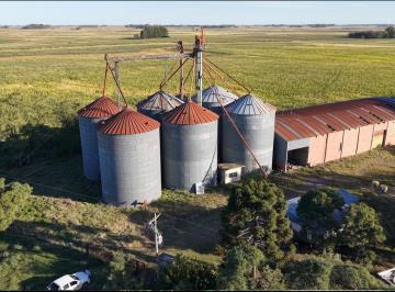 Bodega-Galpón · 10000ha · Planta de Silos en El Acceso a del Carril (Bs As)