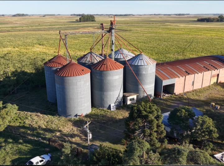 Bodega-Galpón · 10000ha