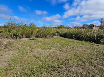 Terreno , Tigre · Terreno / Lote en Venta de 200 m² Ubicado en Delta