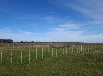Campo · 3310000m² · Campo de 331 Ha Para Arrendar en General Lavalle Sobre Ruta 11