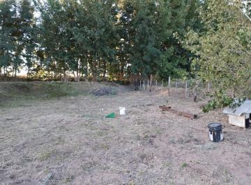 Terreno , Plottier · Terreno con Construcción en Barrio Semi Privado
