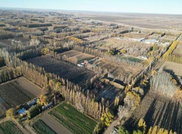 Campo · 60ha · Venta Chacra Vista Alegre Sur