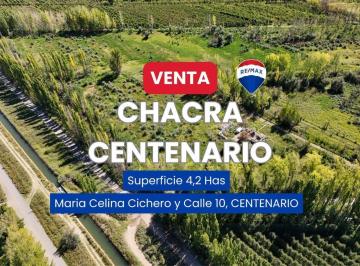 Campo · 4ha · Venta Chacra 4,2 Has Centenario