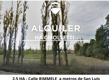 Terreno · 2500m² · Alquiler Hectarea Cipolletti