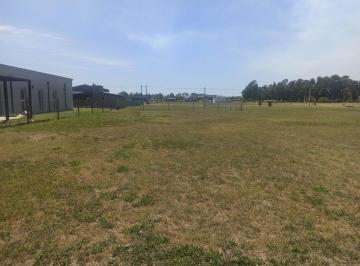 Terreno · 800m² · Lote en Venta en Cañuelas Park Máximo Paz