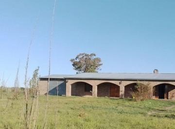 Campo · 112ha · Venta Finca con Casa en Mendoza, General Alvear