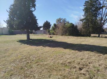 Terreno · 900m² · Terreno 900 m² en Zona de Quintas, C Avellaneda
