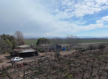 Campo · 10ha · Finca de 10 Hectáreas en Venta Corredor Productivo Ruta 99 Tupungato.