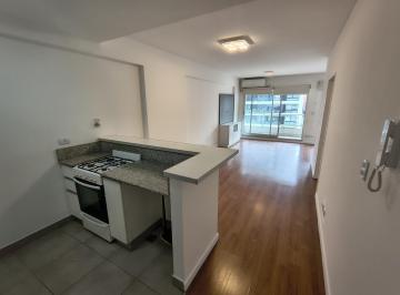 Departamento · 43m² · 1 Ambiente · Departamento Monoambiente Alquiler Balcon Luminoso Pileta Sum