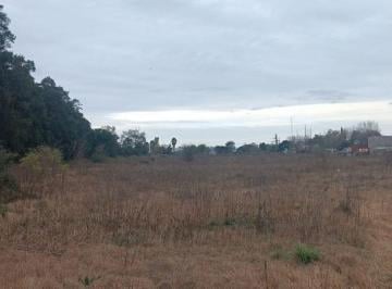 Campo , Villa Nueva · 2,7 Hectáreas