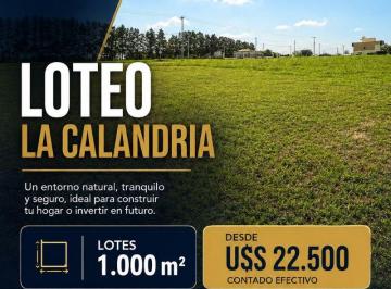 Terreno , San Pedro · Loteo La Calandriasan Pedro, Buenos Aires