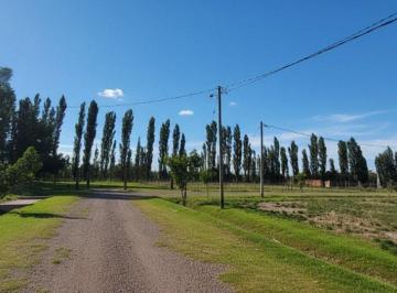 Terreno · 2000m² · Venta Gran Terreno en Las Paredes, San Rafael