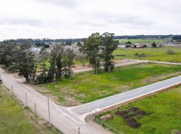 Terreno · 308m² · Lote en Zona Graduados