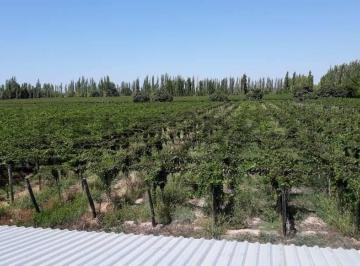 Campo · 40m² · Finca en Venta | Oportunidad de Inversión | Lavalle