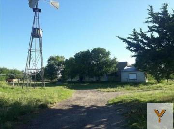 Campo · 49540000m² · Campo en Venta - m² - La Pampa