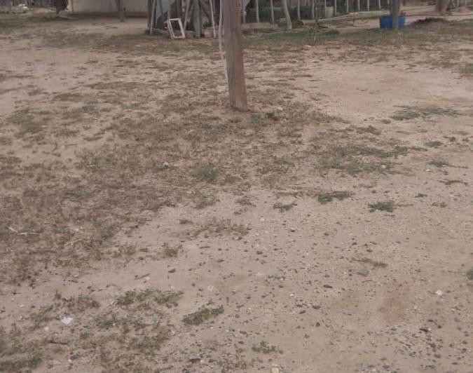 Campo · 2200000m²