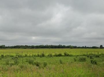 Campo · 970000m² · Campo en Venta - 97 Hectáreas - Pampa Florida