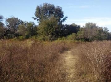 Campo · 1880000m² · 3 Ambientes · Campo en Venta - 188 Hectáreas - Santiago del Estero