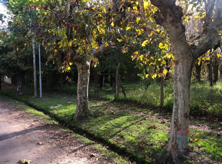 Terreno · 11250m²