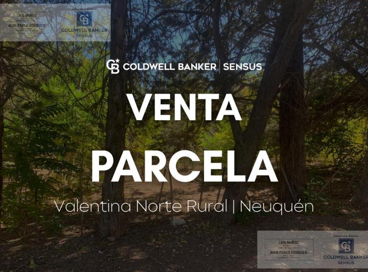 Terreno · 60000m²