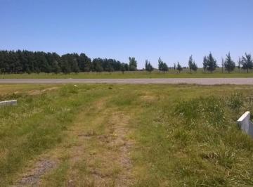 Campo · 7m² · 1 Ambiente · 6,5 Has | Ruta 205 | Km 74 | Cañuelas | Unico Dueño