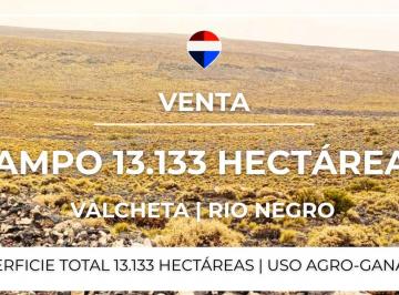 Campo · 13133ha · Venta Campo - Valcheta - Rio Negro