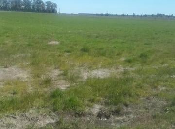 Terreno , San Miguel del Monte · Chacra en Venta | Benquerencia Farm Club