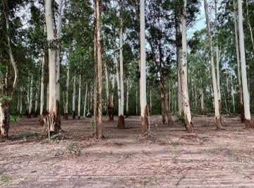 Terreno · 1000m² · Lote en Venta en Carolina