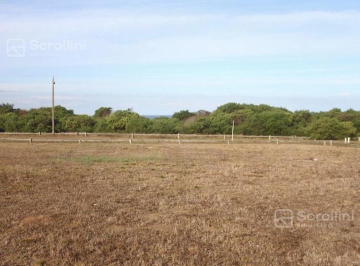 Terrenos en venta — RealXpertAI