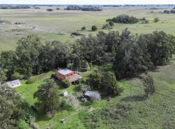 Quinta vacacional · 336m² · 5 Ambientes · 1 Cochera · Casa de Campo en Venta en Punta Indio con 7 Ha