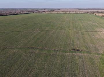 Campo · 75ha · Venta de Campo Agricola - Excelente Oportunidad