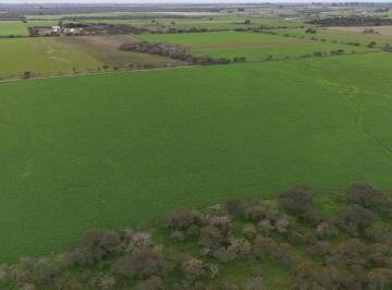 Campo · 765000m² · Venta de Campo Mixto - Excelente Oportunidad