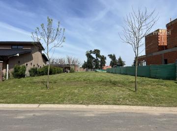 Foto Principal · Lote Interno #0 - 100 - San Pablo - 515 m² #id 19651