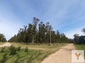 Terreno · 10000m² · Terreno en Venta - 10.000 m² - El Paraíso, Ramallo