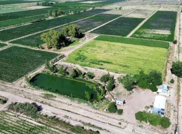 Campo , Ugarteche · Finca de 32 Hs en Venta - Ugarteche / Luján de Cuyo