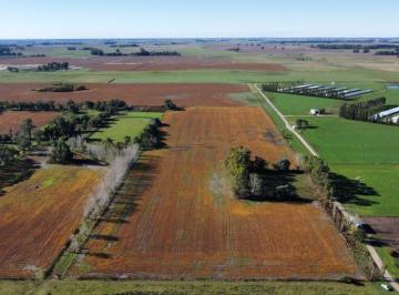 Campo · 77600ha · Venta - Campo - Paraje Culú - Culú - Lobos