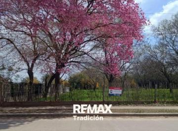 Terreno · 20000m² · Terreno de 2,6 Ha en Venta Ubicado en Sáenz Peña
