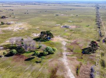 Campo · 1000000ha · Campo de 100 Ha Para Desarrollo en Escobar en Zona de Barrios Privados
