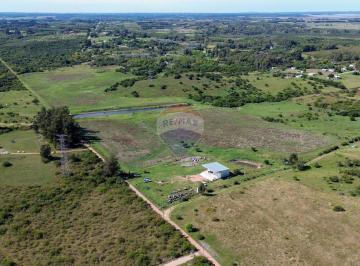 Campo · 4ha · Venta de Ha, Campo en Las Brujas, Canelones
