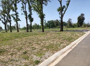 Terreno · 610m² · Barrio La Estela