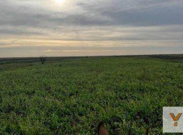 Campo · 9870000m² · Terreno en Venta - 987 Hectáreas - Victoria, Entre Ríos