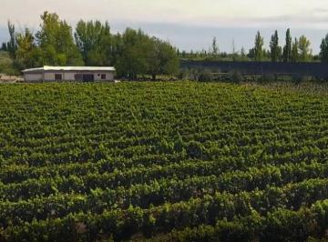 Campo · 20ha · Finca en Junín